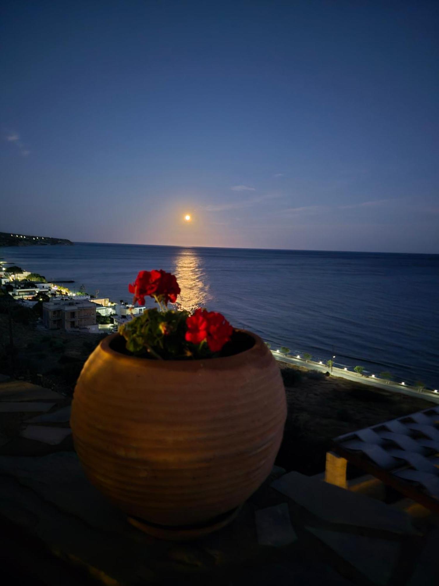 克拉托坎波斯Breathtaking Sea View Flat In South Crete公寓 外观 照片